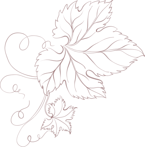 Franceschi Importadora